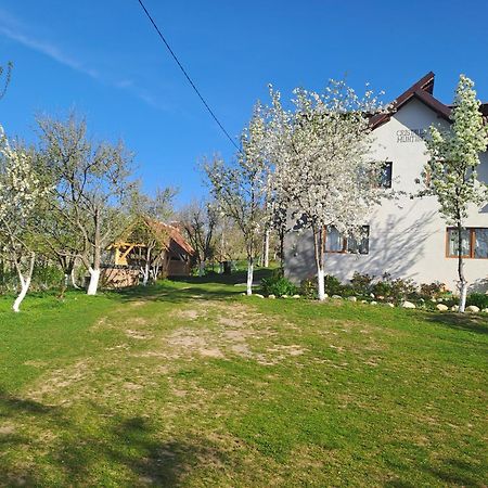 מלון Poiana Mărului Casa Cristalul Muntilor מראה חיצוני תמונה