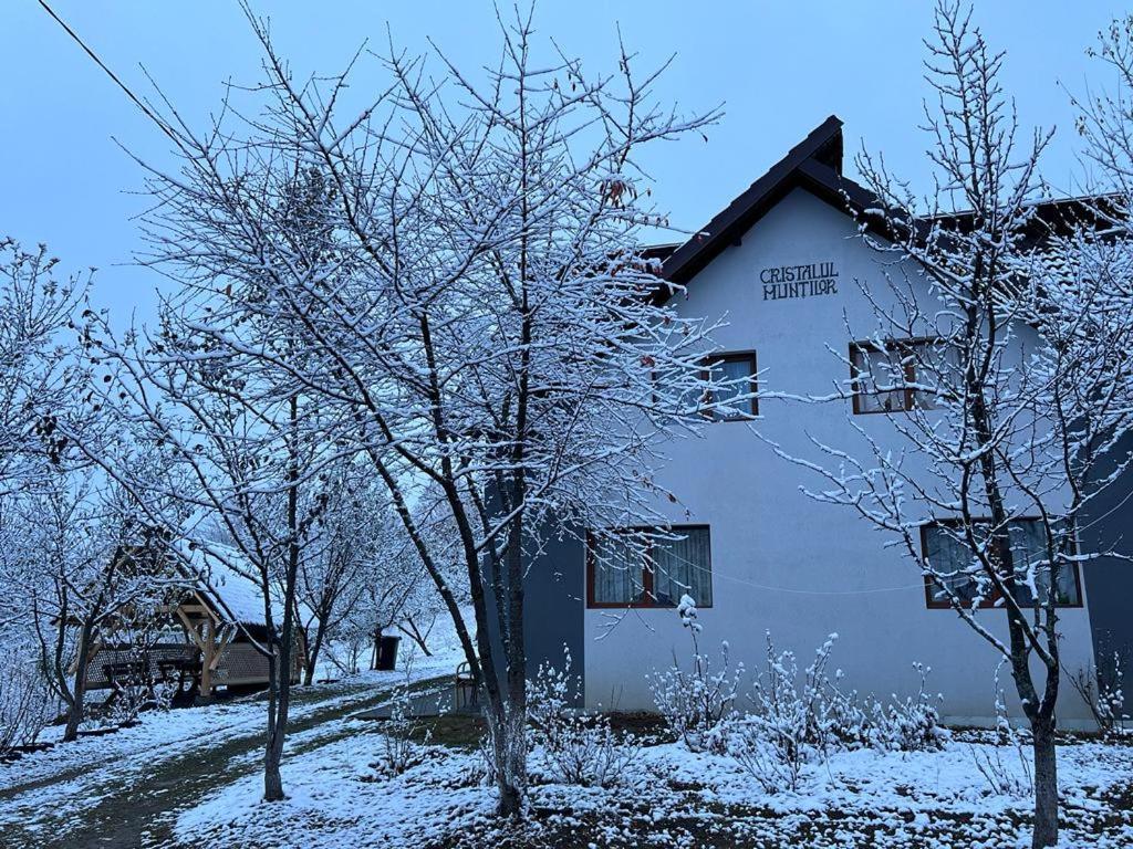 מלון Poiana Mărului Casa Cristalul Muntilor מראה חיצוני תמונה