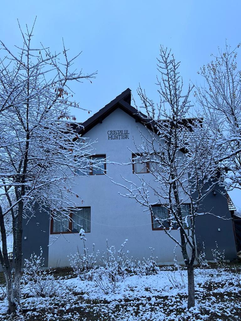 מלון Poiana Mărului Casa Cristalul Muntilor מראה חיצוני תמונה