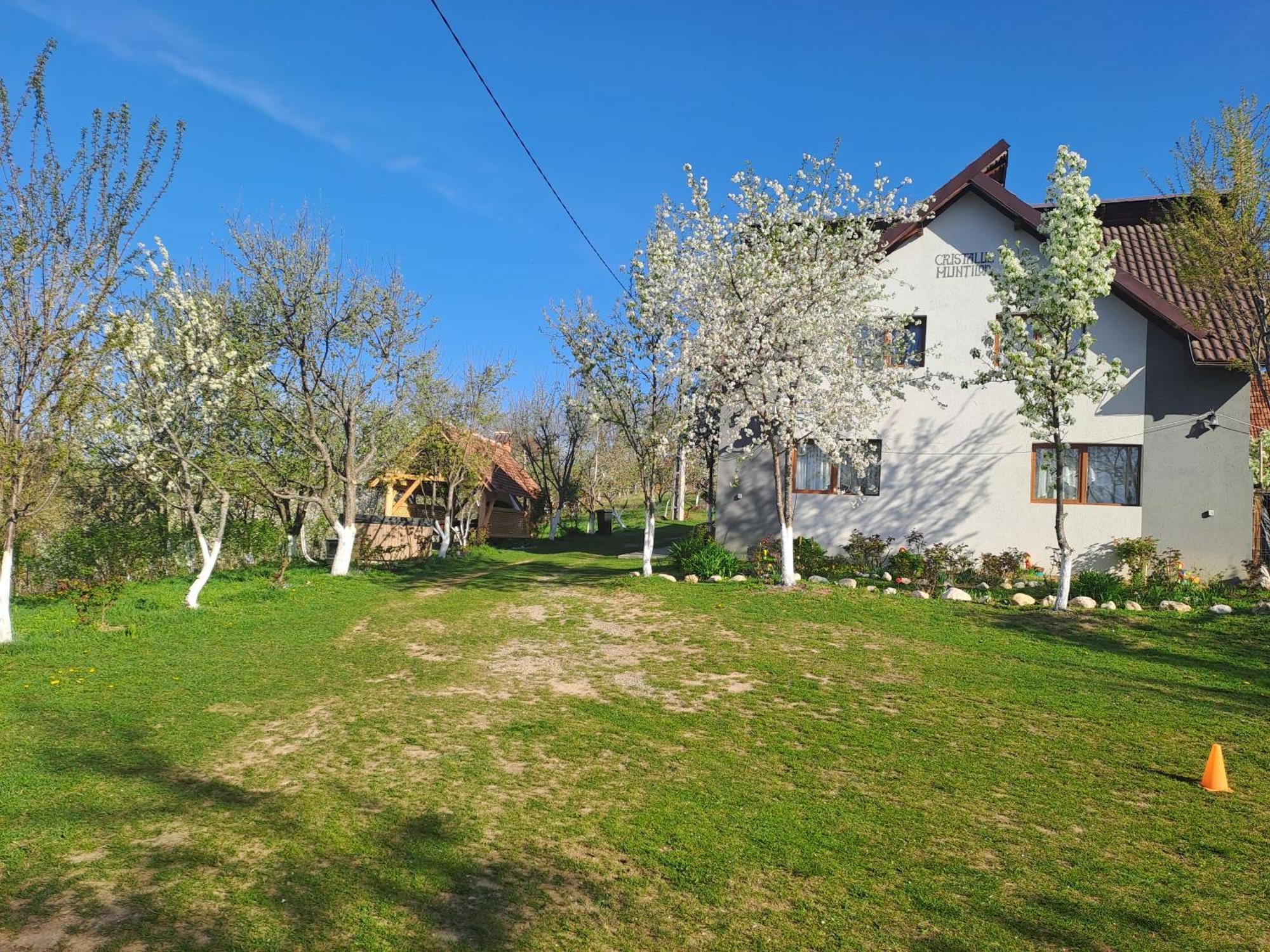 מלון Poiana Mărului Casa Cristalul Muntilor מראה חיצוני תמונה