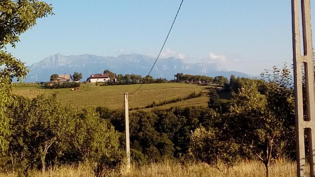 מלון Poiana Mărului Casa Cristalul Muntilor מראה חיצוני תמונה